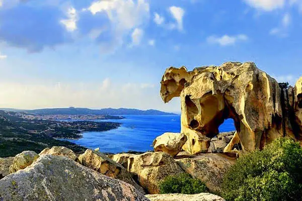 Charter Region Sardinia